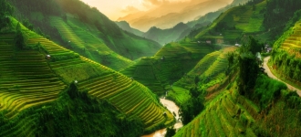 Fuerte incremento del crédito comercial en Vietnam