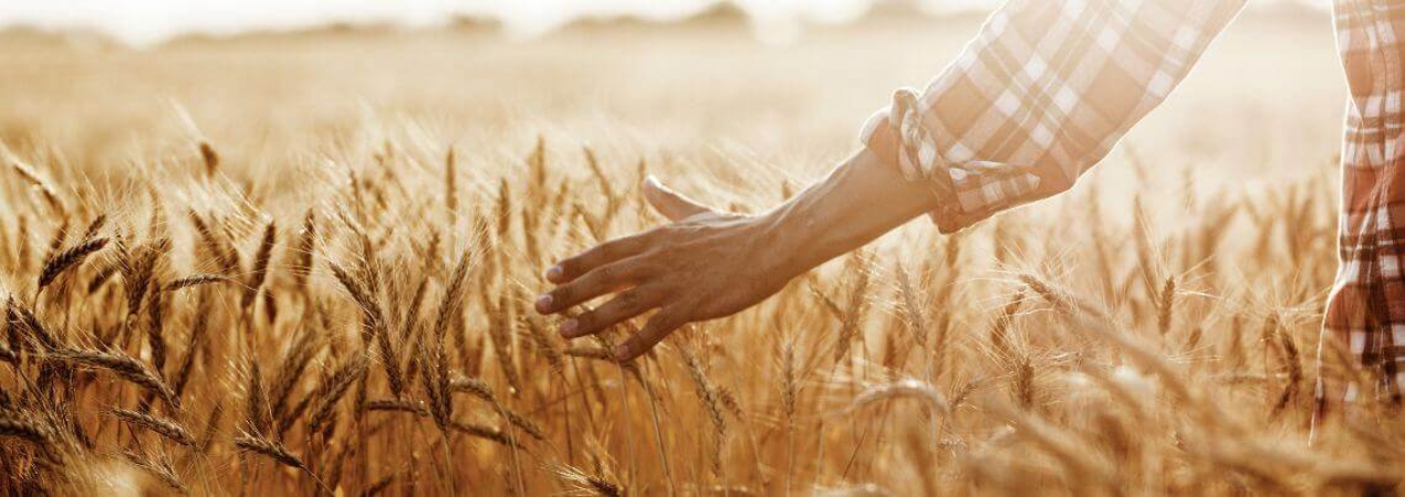 Crédito y Caución en Alimentaria 2026 – Fira Barcelona