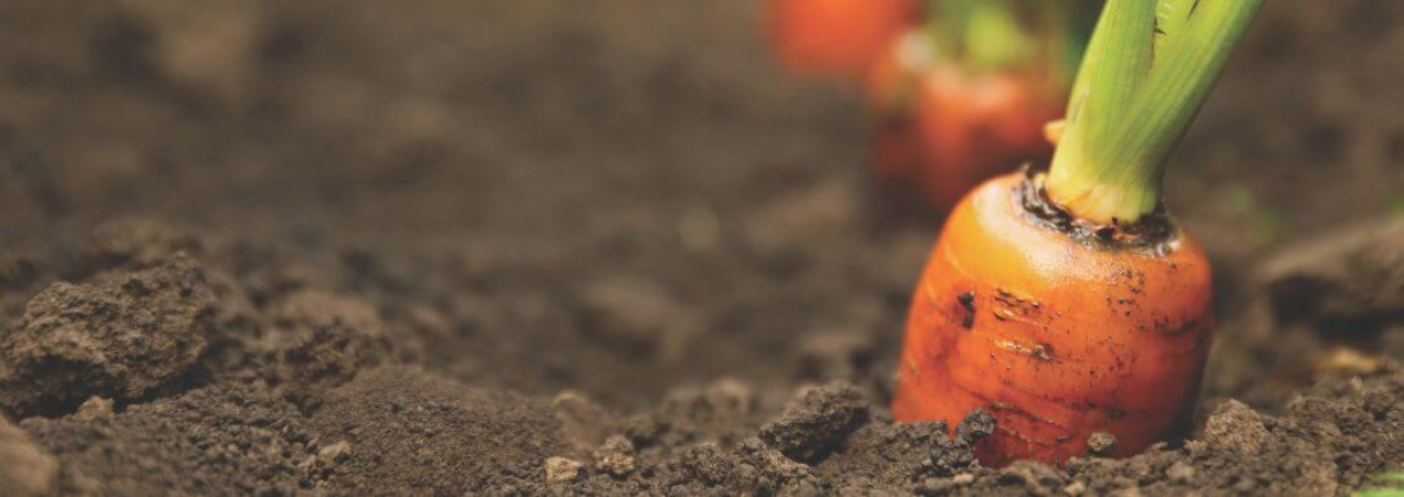 Crédito y Caución en Fruit Attraction 2025 - IFEMA
