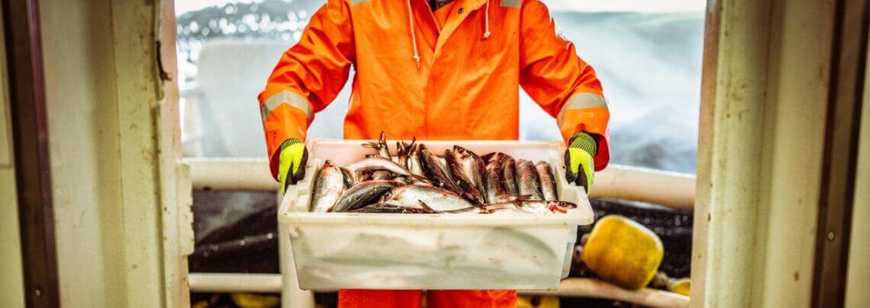 Crédito y Caución en Conxemar 2026 – IFEVI Vigo