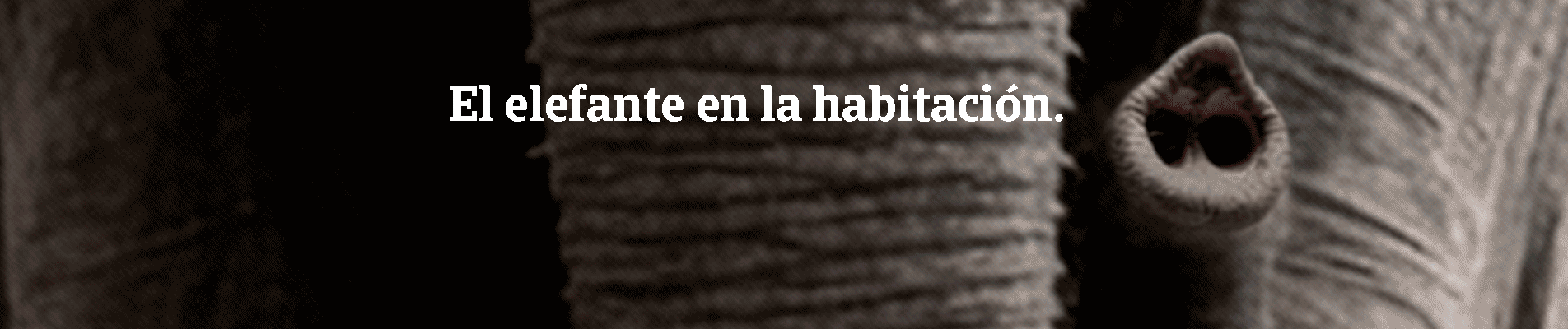 El elefante en la habitación. Es aquello de lo que no se habla. Como un impago