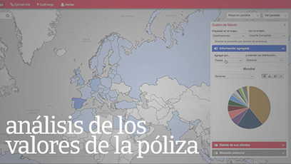 Análisis de los valores de la póliza