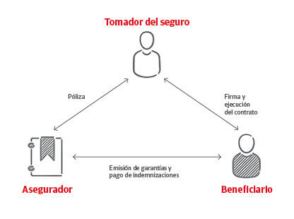 Infografía del Seguro de Caución
