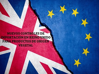 Nuevos controles de importación en Reino Unido para productos de origen vegetal  
