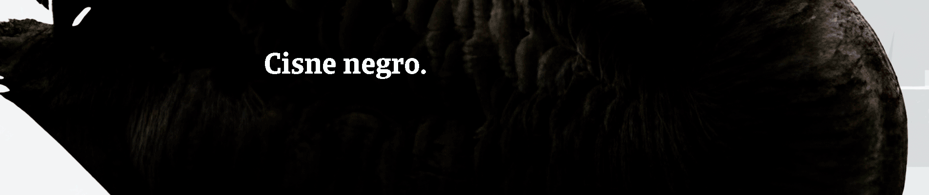Cisne negro. Evento impredecible de impacto masivo. Como un impago. 