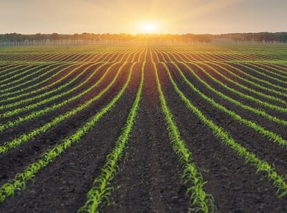 Seguro de Caución para Fondo Español de Garantía Agraria - FEGA Seguro de Caución para Fondo Español de Garantía Agraria - FEGA